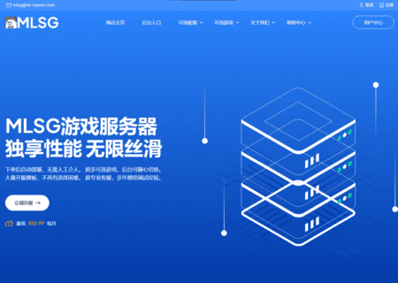 MLSG Website Project